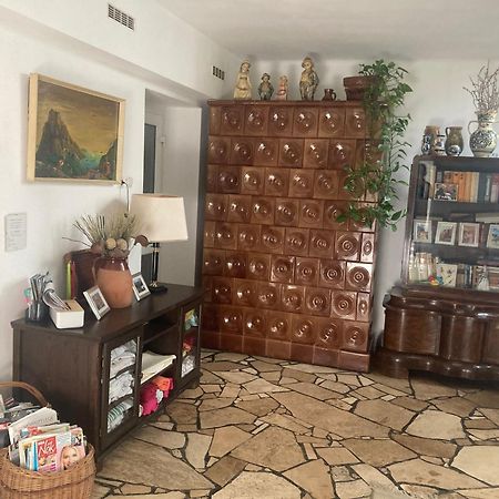 Apartman-Donau Tát Εξωτερικό φωτογραφία