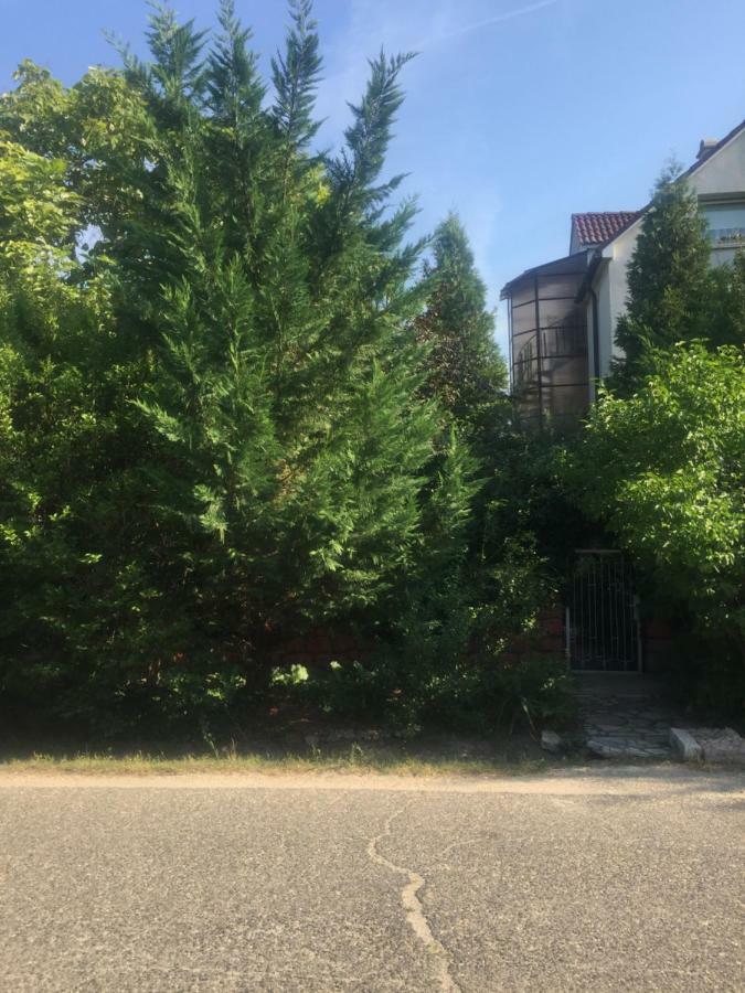 Apartman-Donau Tát Εξωτερικό φωτογραφία